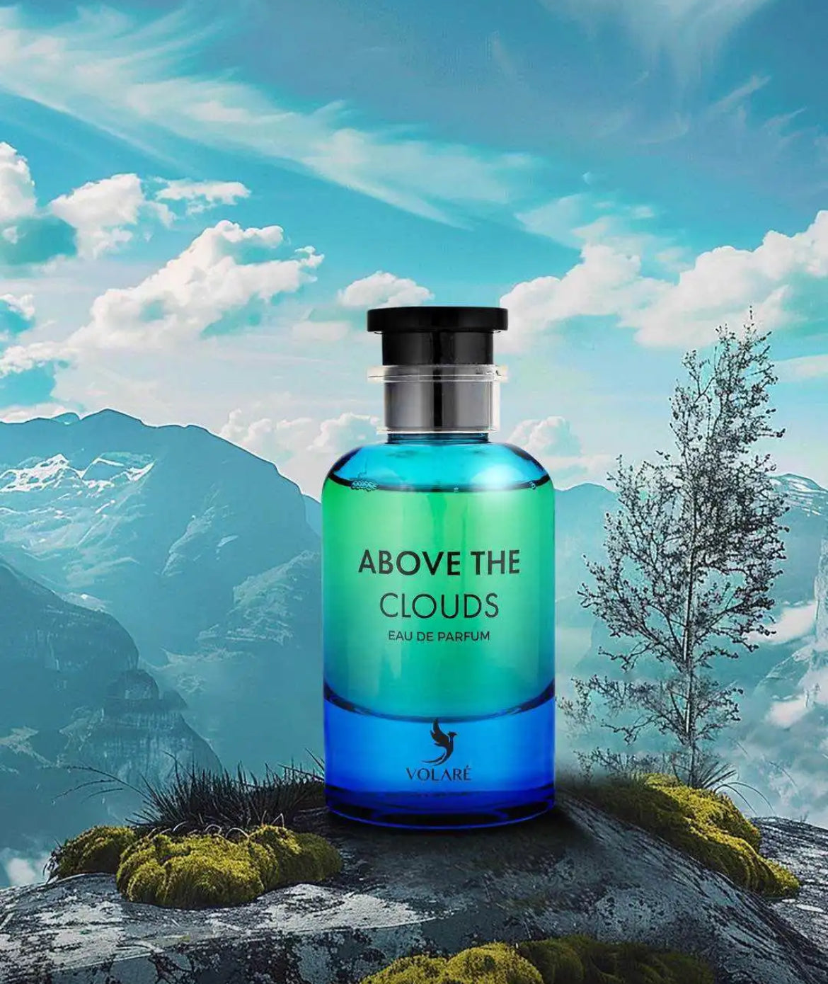 Above the clouds - Eau de parfum 100 ml - Volare
